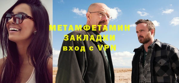 прущие грибы Ельня