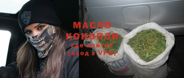 прущие грибы Ельня