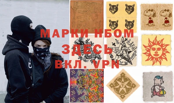 прущие грибы Ельня