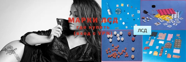 прущие грибы Ельня