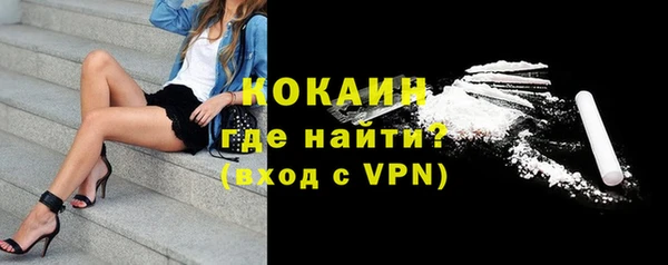 прущие грибы Ельня