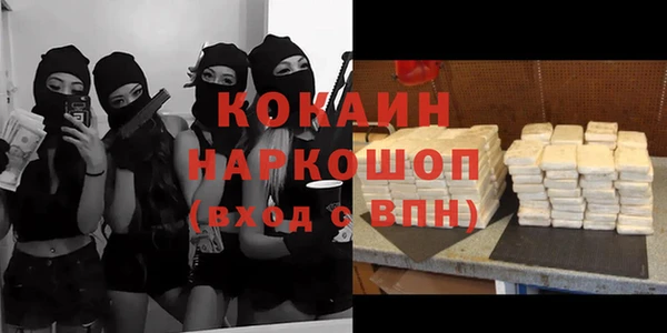 прущие грибы Ельня