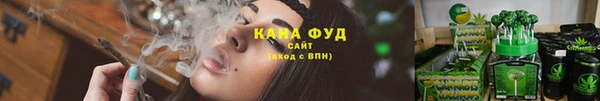 прущие грибы Ельня