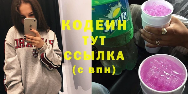 прущие грибы Ельня