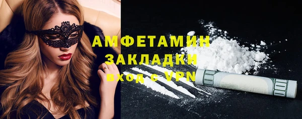 прущие грибы Ельня