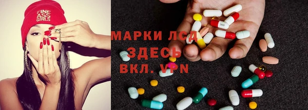 прущие грибы Ельня